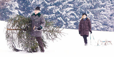 Schnee Winter Wetter Christbaum