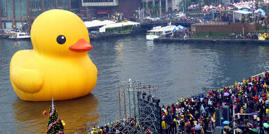 Quietscheente of Doom / Thailand
