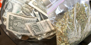 Dollar Hanf Marihuana