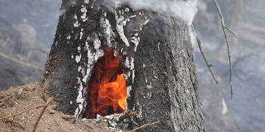 Explosionen bei Waldbrand in Lilienfeld