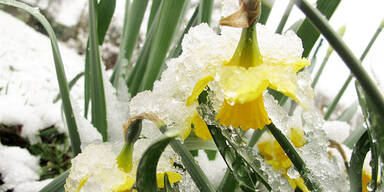"FRIERling": Schnee-Chaos nach Blitz-Sommer