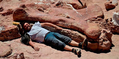 Gr&ouml;&szlig;er Dinosaurier