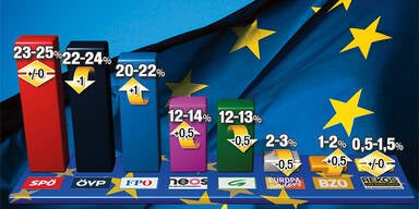 EU Umfrage 25.5.2014
