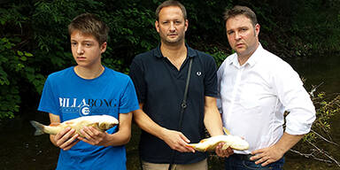 Stadtgemeinde Traiskirchen