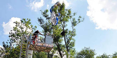 Paragleiter von Windböe in Baum geweht