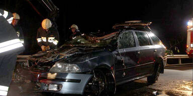 Alko-Lenker raste in Fluss: Verletzt