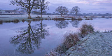 Fischteich Winter Frost