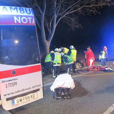Fahrzeug kam in Kurve ins Schleudern 