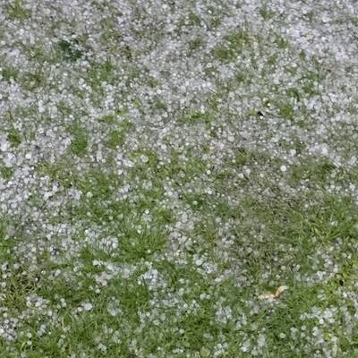 Überschwemmung in Döbling