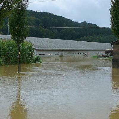 Hangrutschung in der Klausen