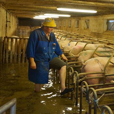 Hangrutschung in der Klausen
