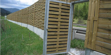 Asfinag_Laermschutzwand