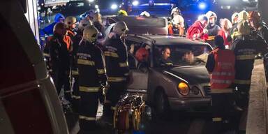 3 Hunde aus Auto gerettet