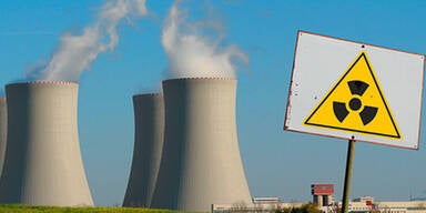 Atomkraftwerk nach Panne teilweise abgeschaltet