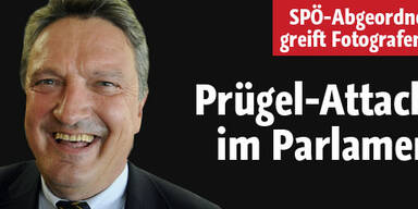 SPÖ-Abgeordneter attackiert Fotografen
