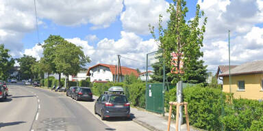 Tote (71) in Schrebergarten in Wien entdeckt