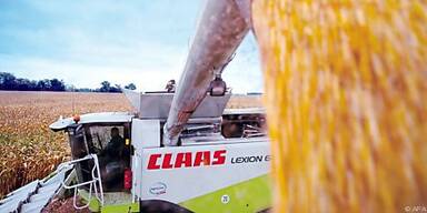 Auch 2010 "wird schwieriges Jahr"