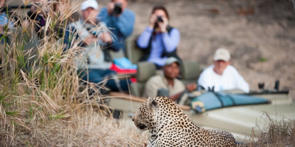 Afrika-Tourismus im Aufwind