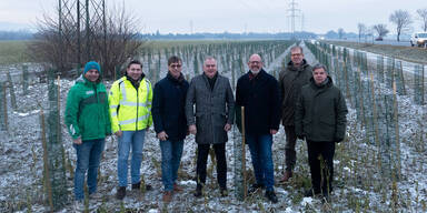 Wiener Neustadt: 1.800 B&auml;ume an der S4 gepflanzt