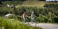 Radfahren in der Südsteiermark