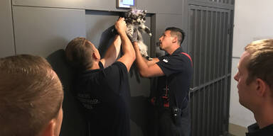 Wien: Hund blieb mit Leine in Lift h&auml;ngen