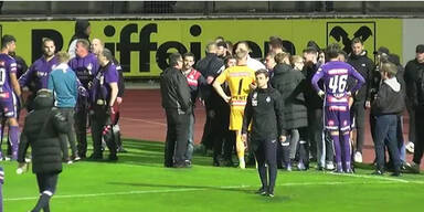 Tobende Austria-Fans st&uuml;rmen den Platz