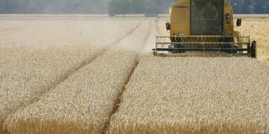 Ungarn: Weiter keine Agrarflächen für Ausländer