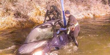 Betrunkener Teenie (16) landete bei Pkw-Spritztour in Aschach