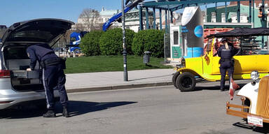 Heldenplatz Fiaker-Fahrer