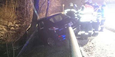 Steierer bei Autounfall beinahe gepfählt