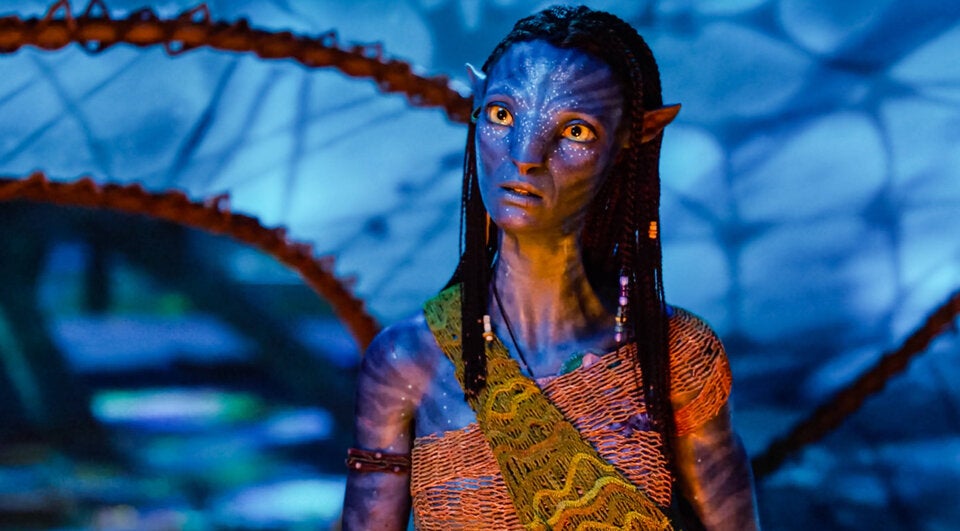 „Avatar“ schafft das Wunder. Schon über 500.000 Besucher