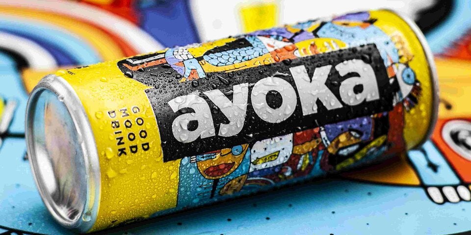 Ayoka-Gründer Philip Lanz und Sebastian Raber zu Gast in der Tamara Fellner Show