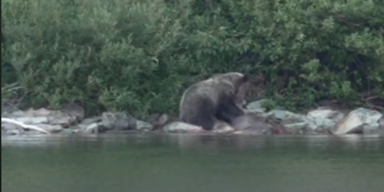 filmsbystanton/TikTok