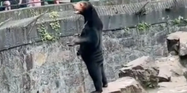 Hangzhou Zoo