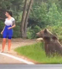 TikTok/@alessandrobacaoanu