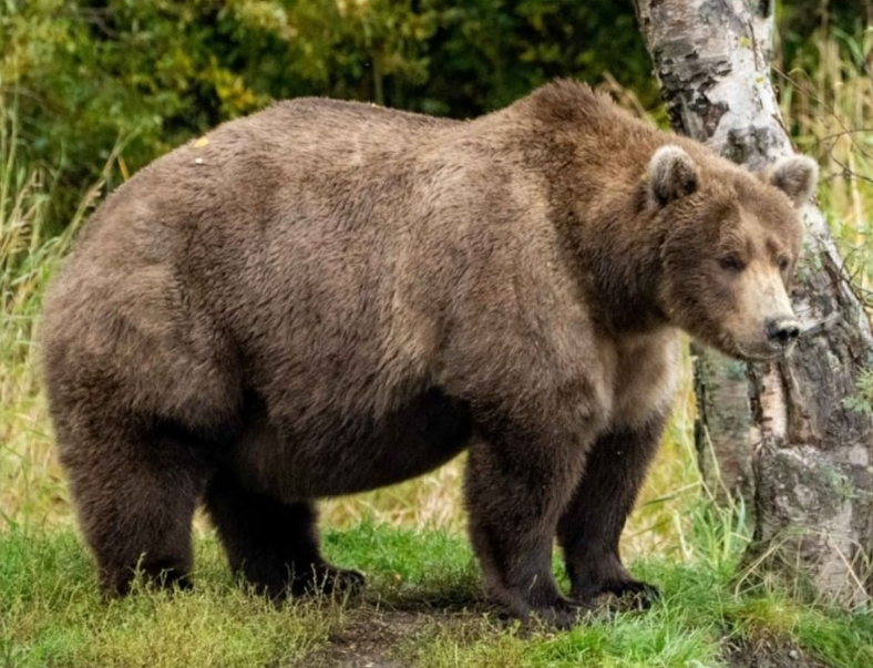 L.Law/National Park Service