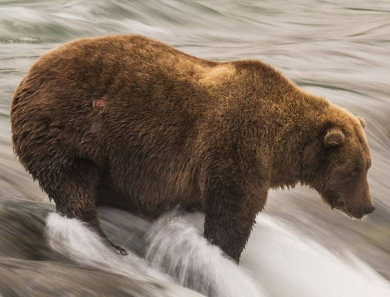 L.Law/National Park Service