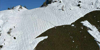 Lawine B&auml;renkopf