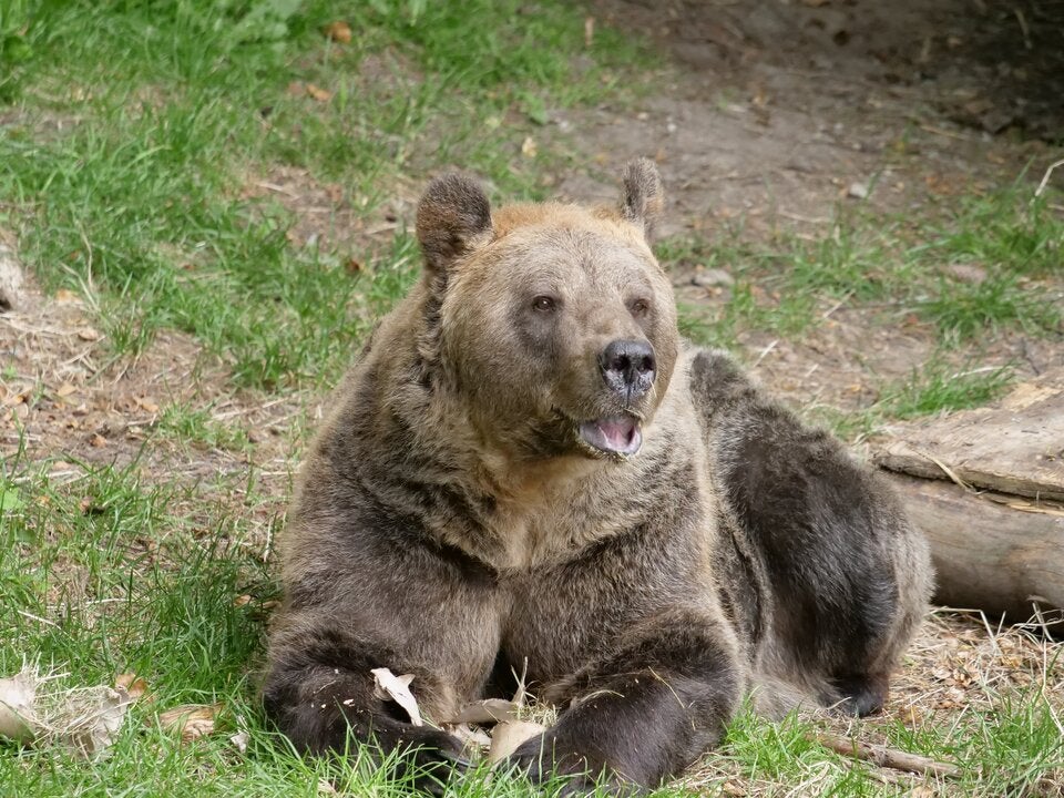 NÖ lockt mit Grusel-Spaß in den Herbstferien