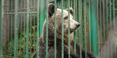 Restaurantb&auml;rin Mici