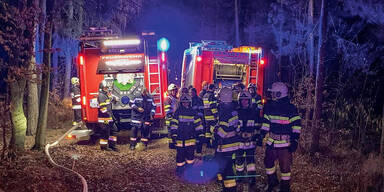 Mega-Brand Wald