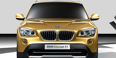 BMW-X1