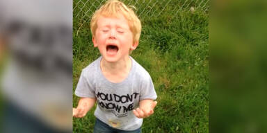 Geschocktes Kind tritt in &bdquo;Hundegl&uuml;ck&ldquo;