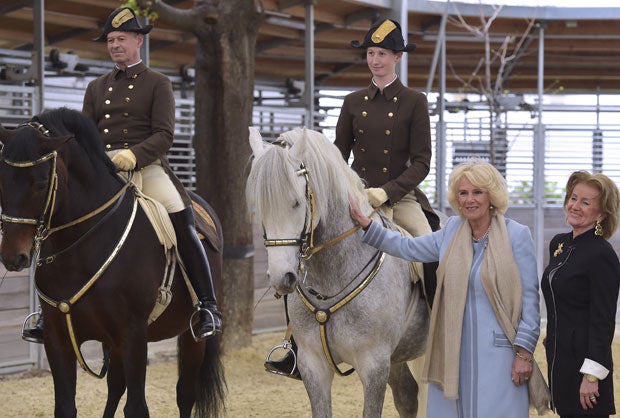 Herzogin Camilla in der Spanischen Hofreitschule