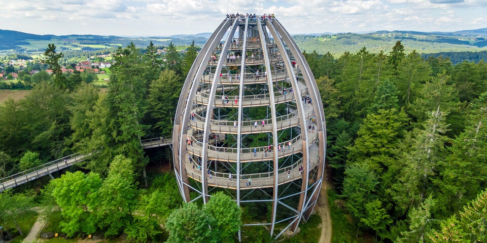 Der Baumwipfelpfad im Nationalparkzentrum Lusen ist eine beliebte Attraktion.