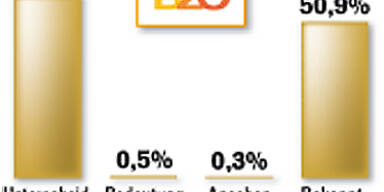 Der große Politiker-Check