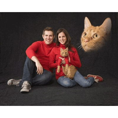 Die schrecklichsten Verlobungsfotos der Welt