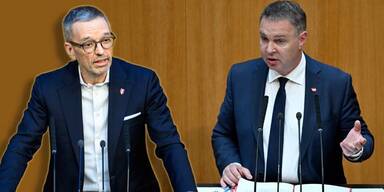 "Linke Zecke": Babler klagt jetzt Kickl