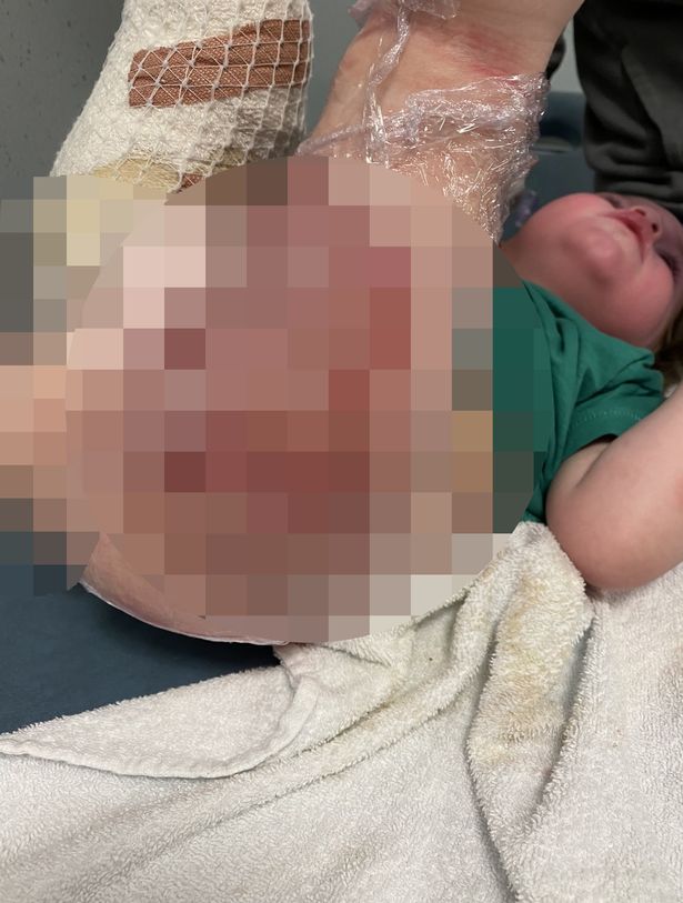 Kennedy News and Media