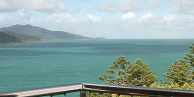 Sie kämpfen um den besten Job der Welt